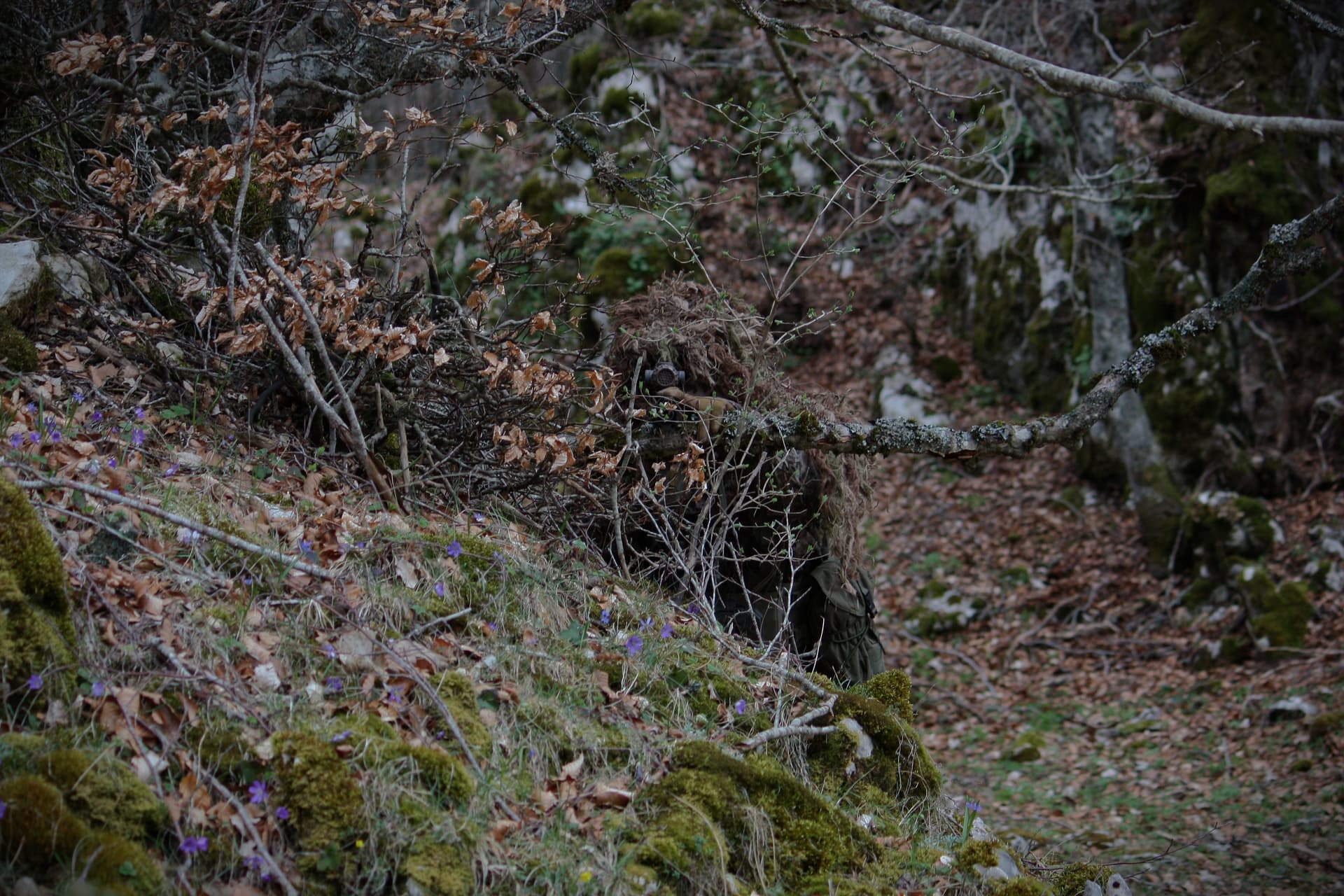 Multispectral camouflage header