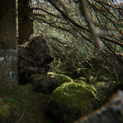 ProApto ghillie suit — concealment in forest terrain