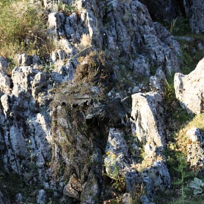 ProApto RIMATOR multispectral ghillie suit — seen through thermal scope