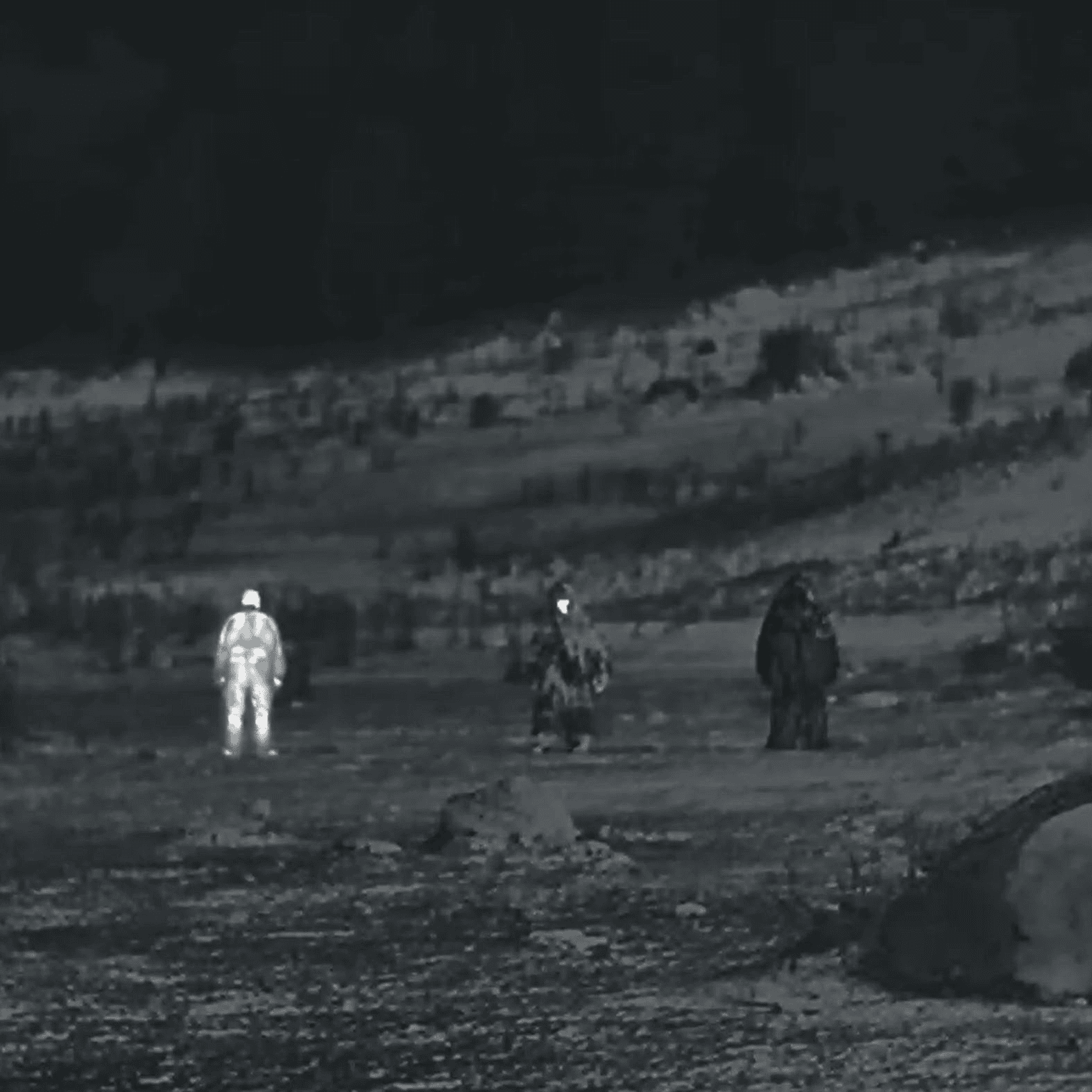 Multispectral Camouflage