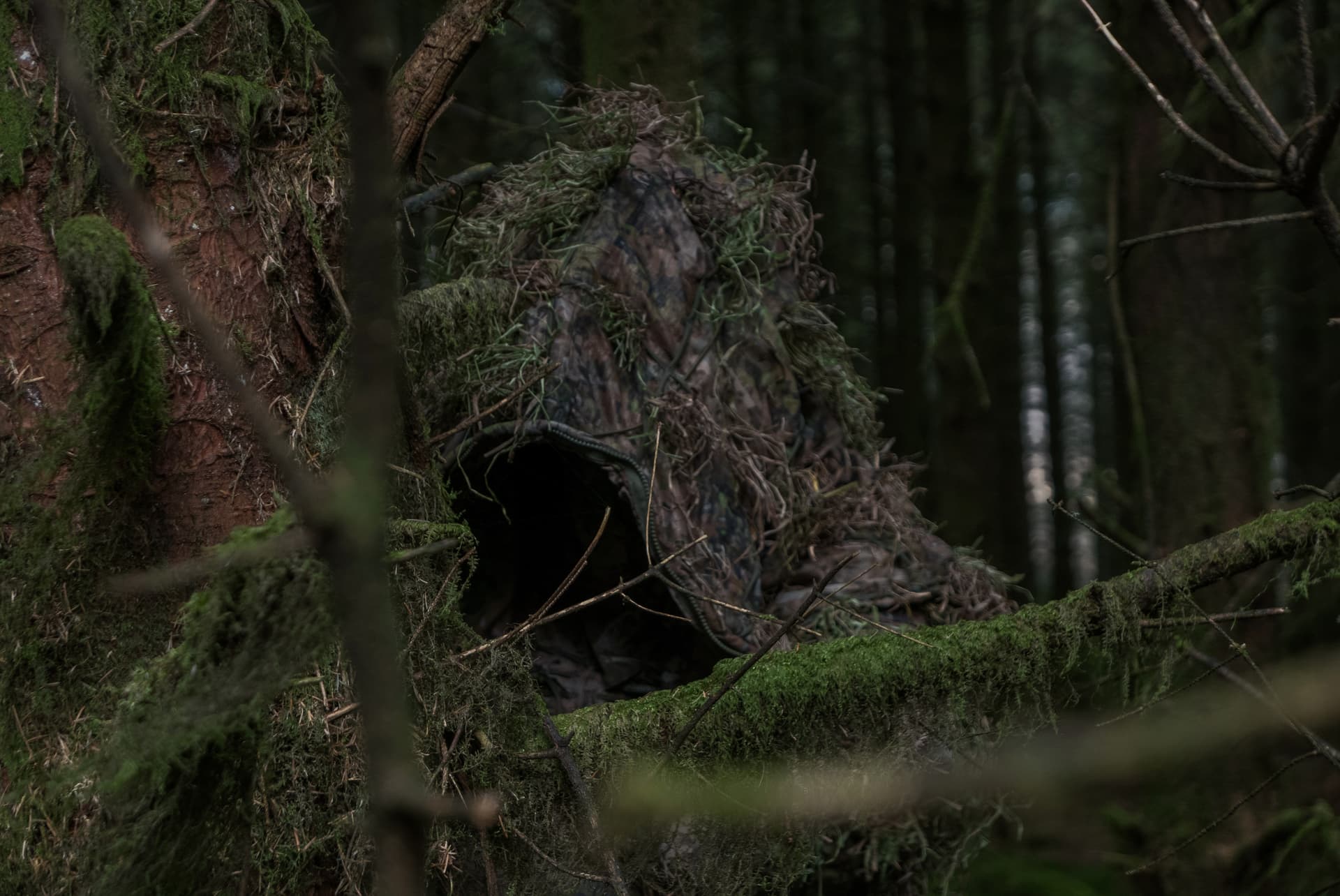 Multispectral Camouflage